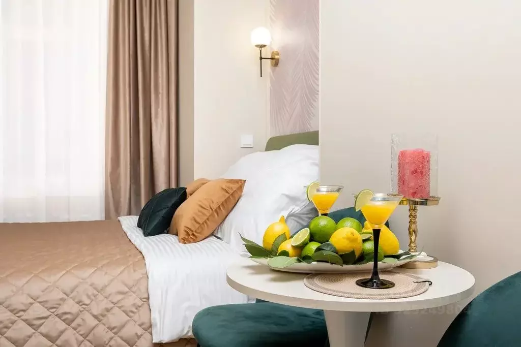 Студия Санкт-Петербург пер. Пирогова, 17 (11.0 м) - Фото 2