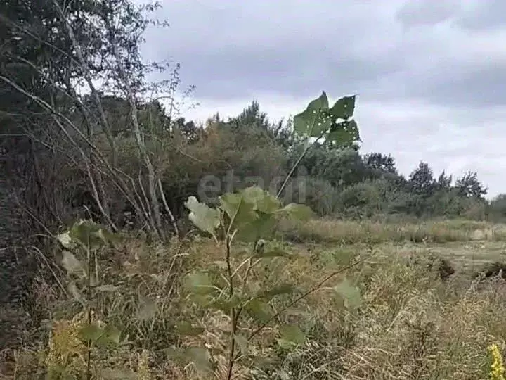 Участок в Калининградская область, Гурьевский муниципальный округ, ... - Фото 0