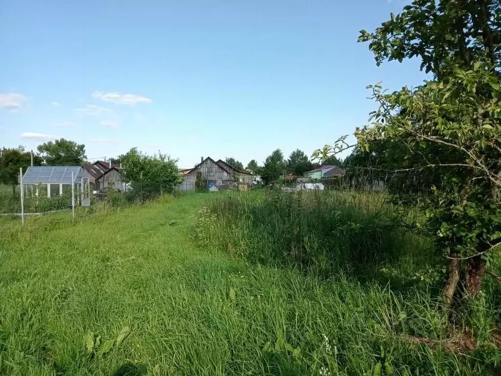 Участок в Московская область, Воскресенск городской округ, д. Губино ... - Фото 2