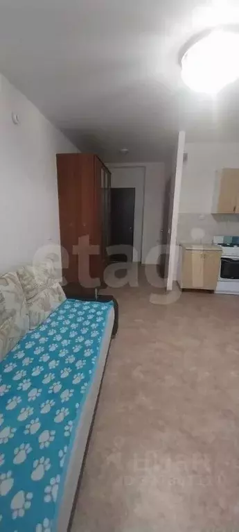 Студия Ямало-Ненецкий АО, Муравленко ул. 70 лет Октября, 43 (25.0 м) - Фото 2