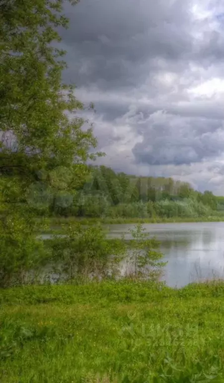 Участок в Липецкая область, Усманский муниципальный округ, с. Савицкое ... - Фото 1
