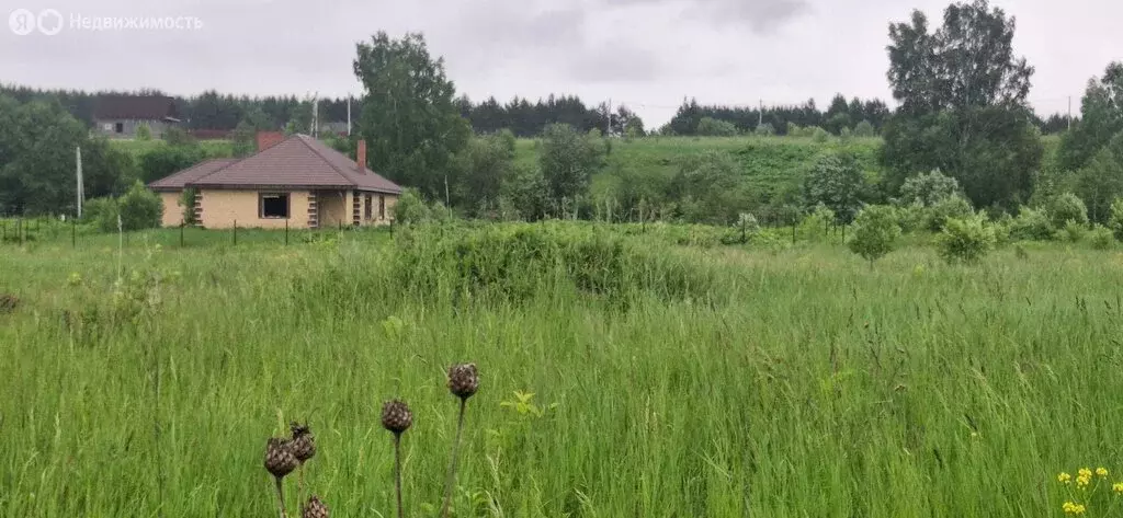 Участок в село Плеханово, Сельская улица (25 м) - Фото 2