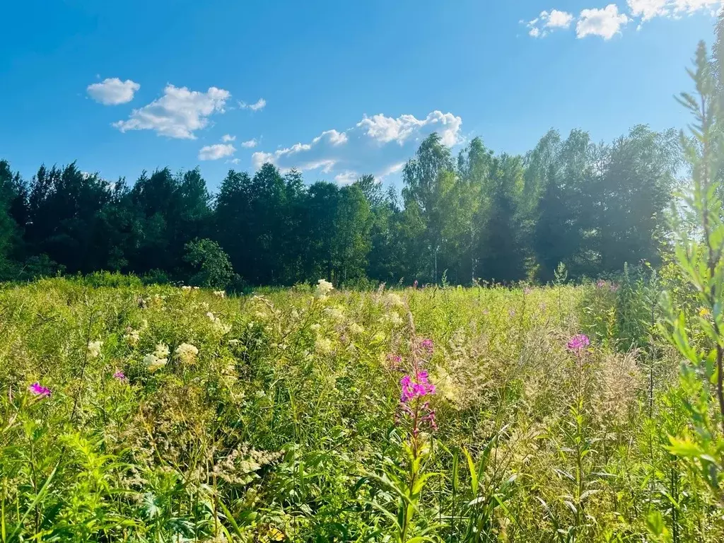 Участок в Новгородская область, Новгородский район, Пролетарское ... - Фото 1