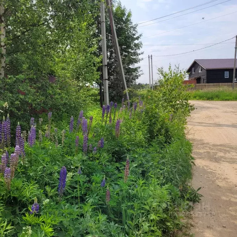 Участок в Московская область, Дмитровский муниципальный округ, ... - Фото 2