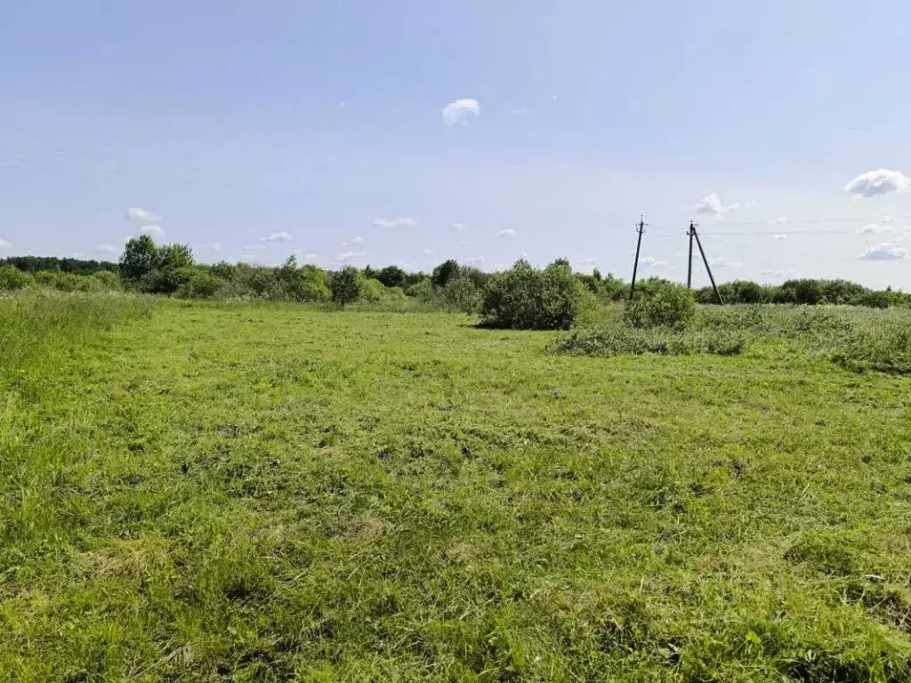 Участок в Тульская область, Ясногорский район, Ревякинское с/пос, с. ... - Фото 2