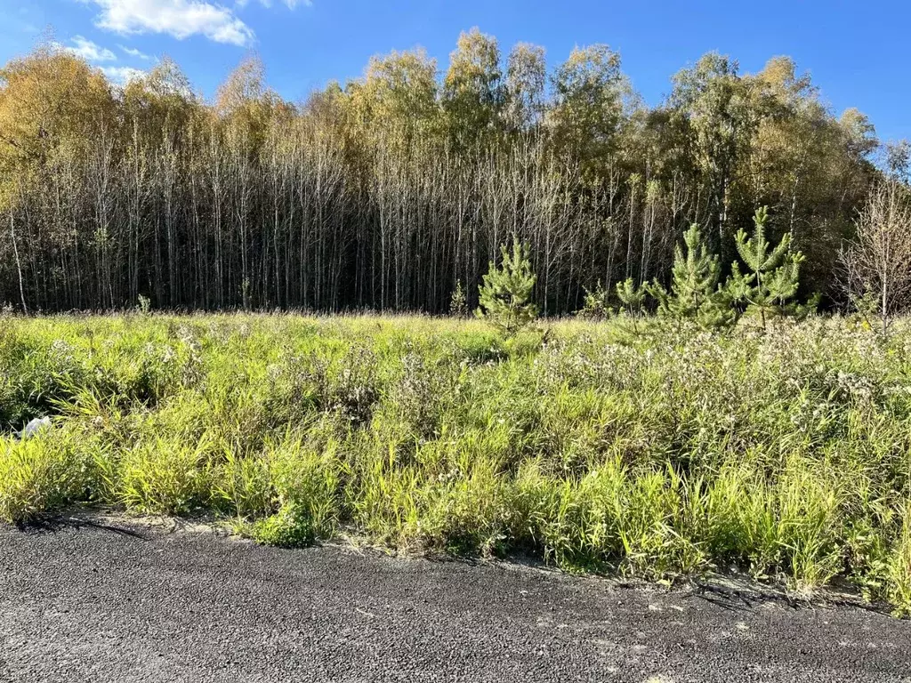 Участок в Московская область, Солнечногорск городской округ, д. ... - Фото 2