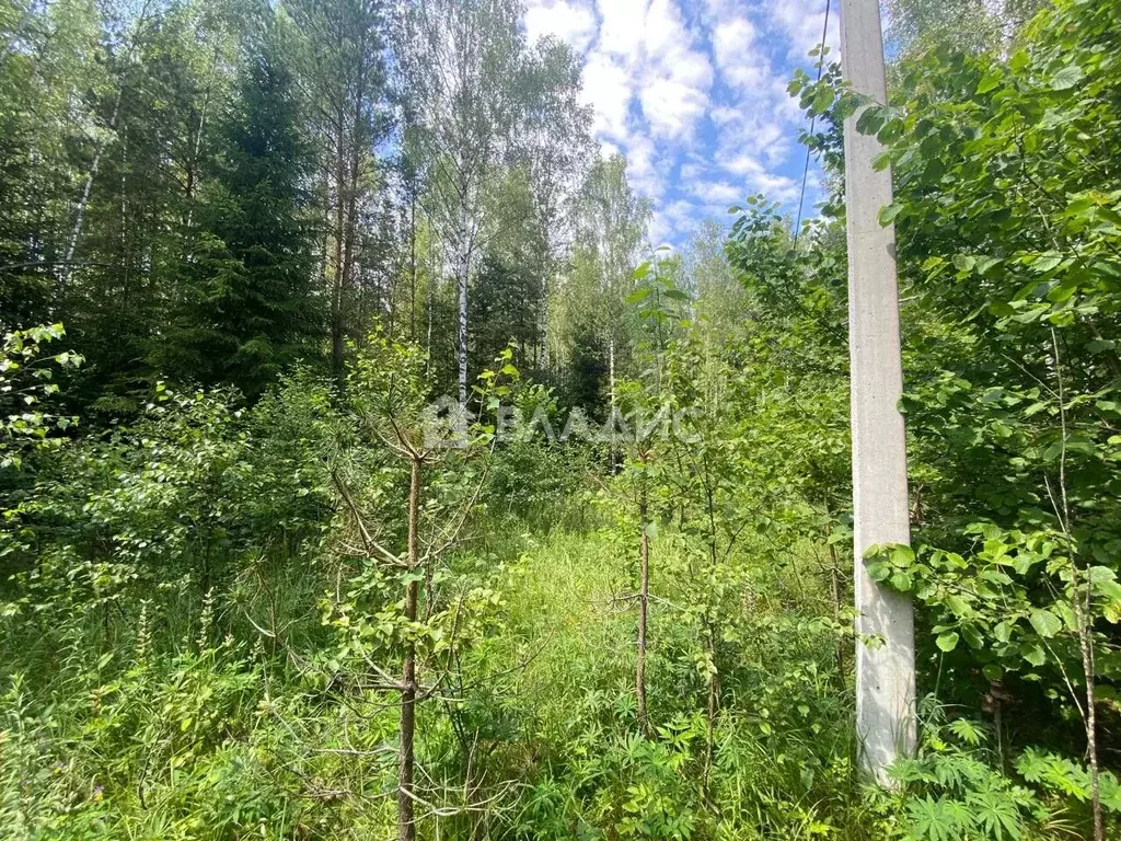 Участок в Калужская область, Перемышльский район, Большие Козлы с/пос, ... - Фото 2