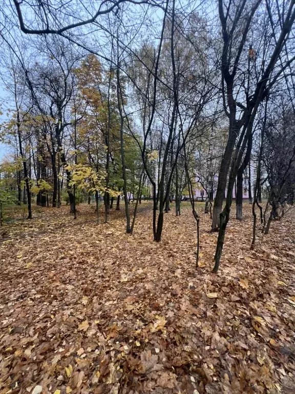 2-к кв. Московская область, Люберцы Городок А мкр, ул. 3-е Почтовое ... - Фото 2