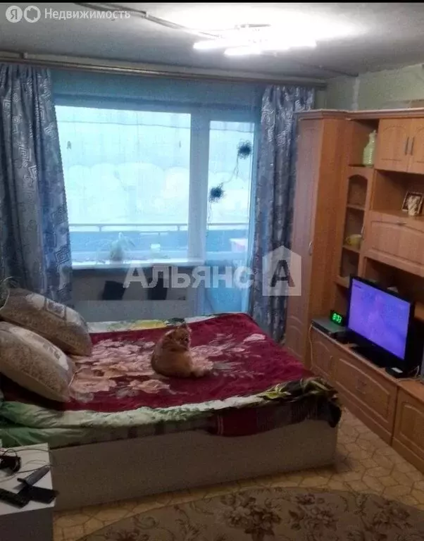 1-комнатная квартира: Белая Калитва, улица Льва Толстого, 6 (32 м) - Фото 1