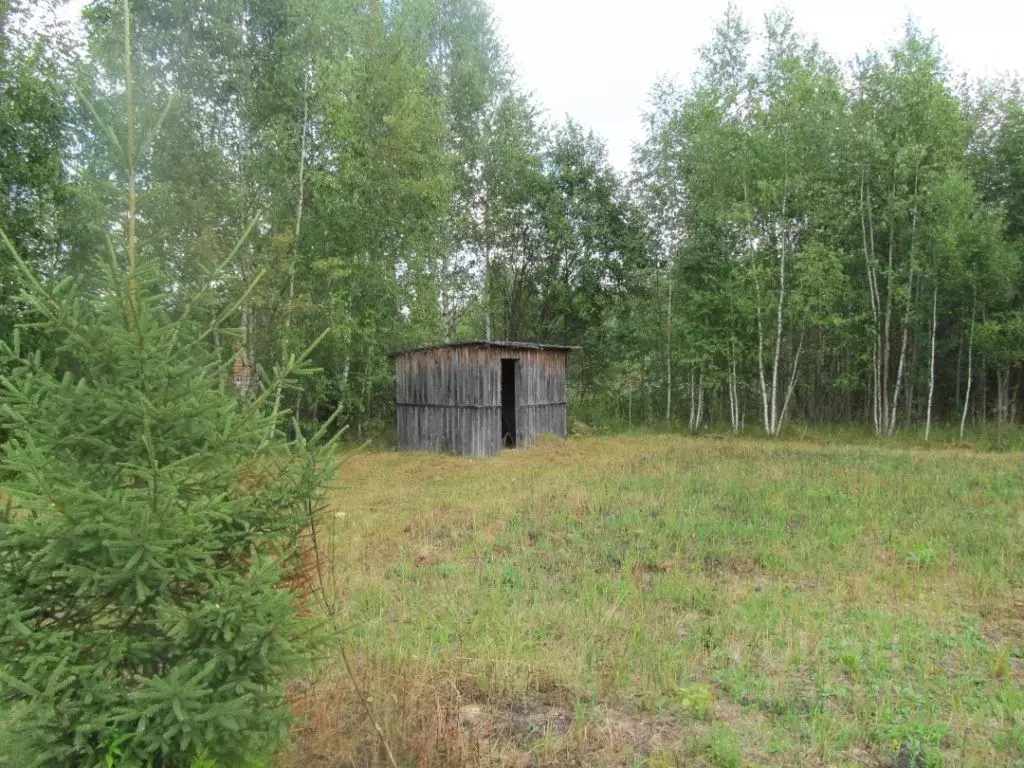 Участок в Владимирская область, Киржачский район, Кочетова сторожка ... - Фото 1