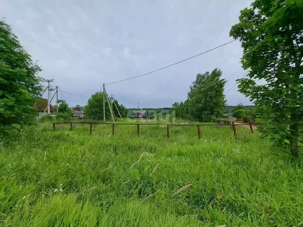 Участок в Вологодская область, Шекснинский муниципальный округ, д. ... - Фото 1