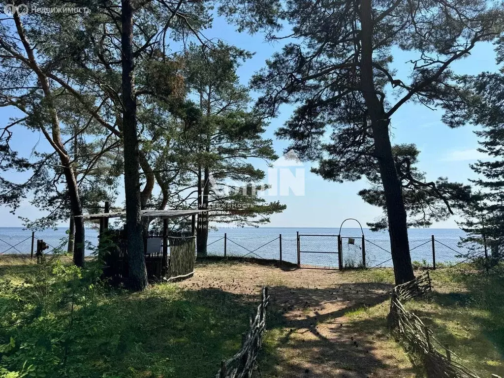 Участок в посёлок Смолячково, Приморское шоссе, 690 (10.3 м) - Фото 2