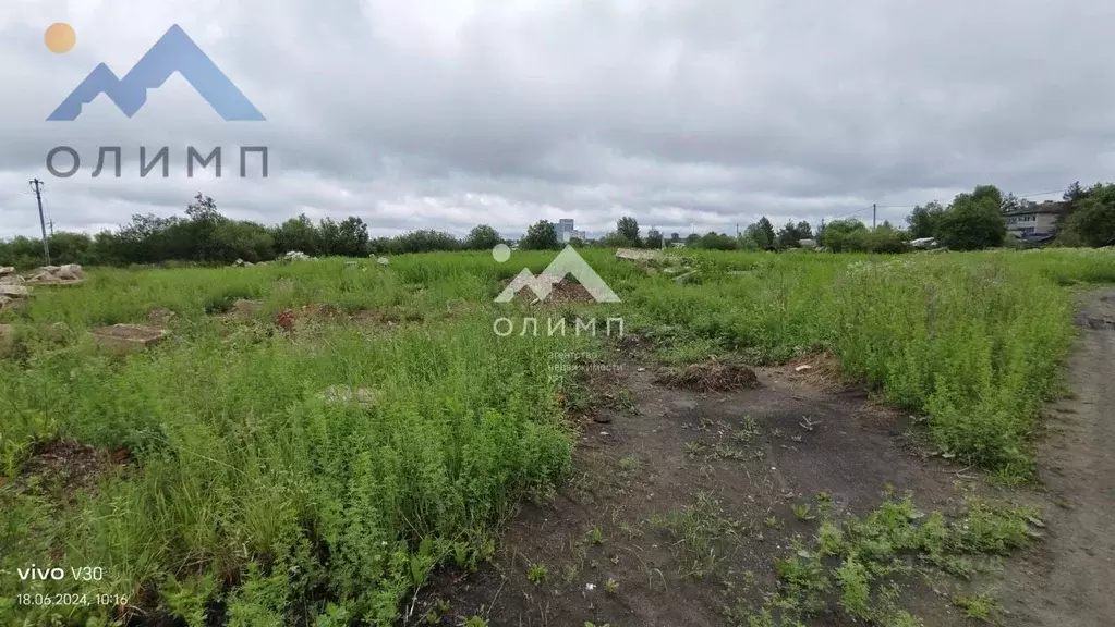Участок в Вологодская область, Сокольский муниципальный округ, ... - Фото 1