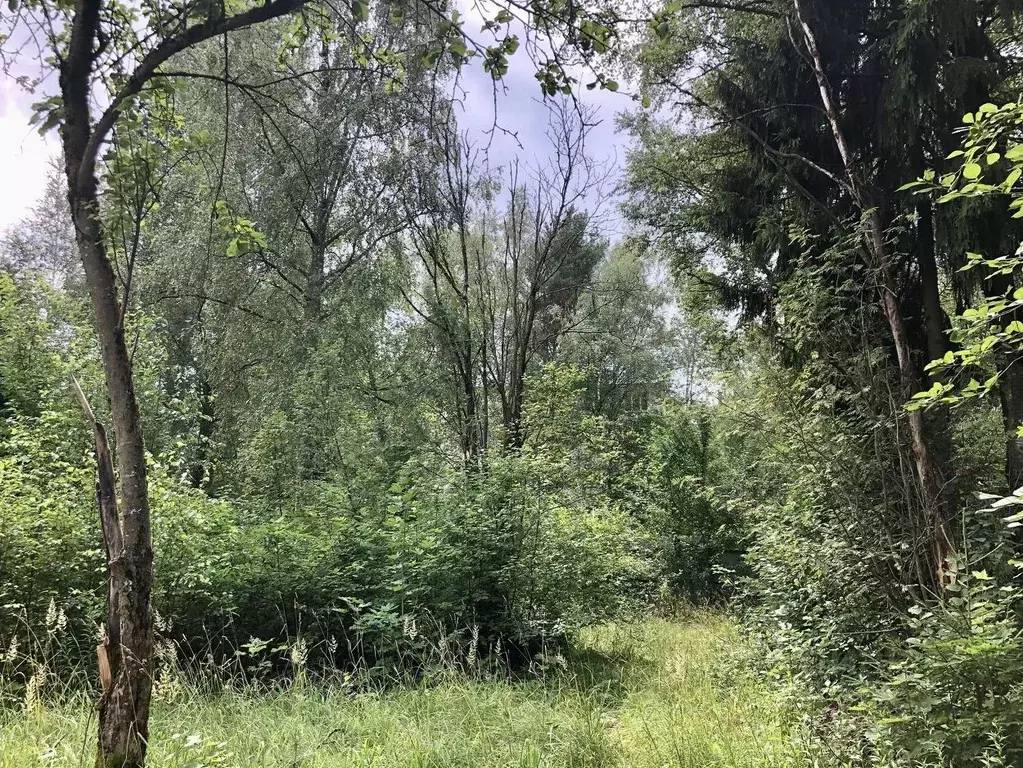 Участок в Московская область, Лобня Луговая мкр, Кольцевая ул., 22 ... - Фото 2