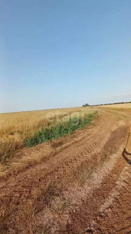 Участок в Крым, Сакский район, с. Веселовка ул. Новая (684.0 сот.) - Фото 0