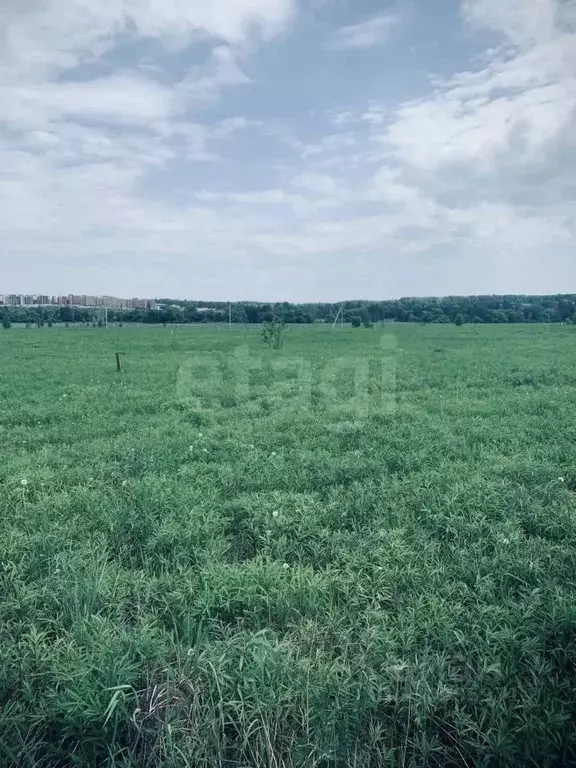 Участок в Тульская область, Тула городской округ, д. Хопилово, 2-й мкр ... - Фото 1