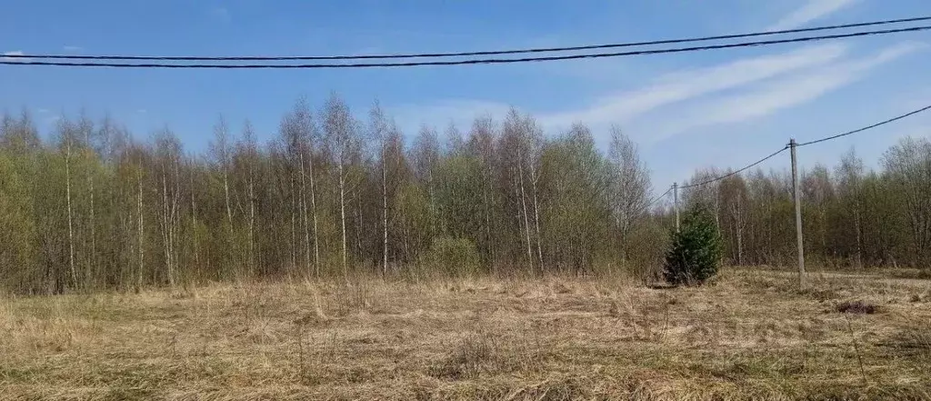 Участок в Московская область, Сергиево-Посадский городской округ, д. ... - Фото 1