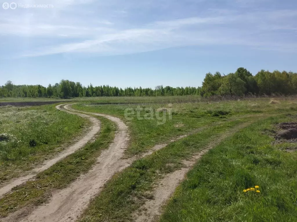 Участок в Брянская область, рабочий посёлок Выгоничи (20 м) - Фото 0