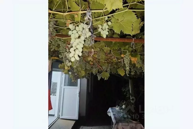 Дом в Крым, Судак муниципальный округ, с. Морское ул. Пушкина, 14 (35 ... - Фото 2