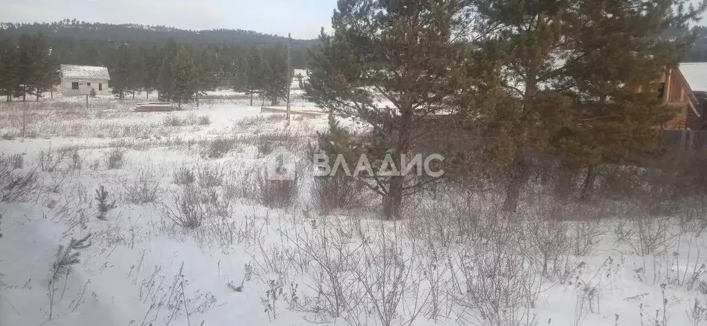 Участок в Бурятия, Тарбагатайский район, Заводское с/пос, Дархан СТ  ... - Фото 2