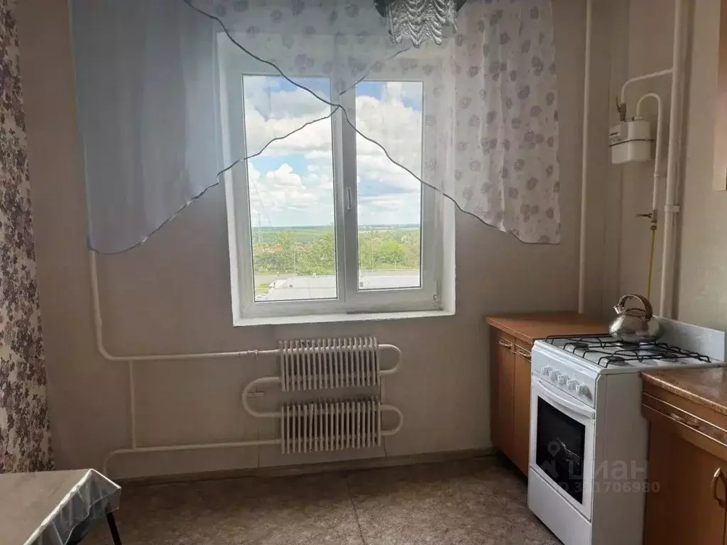 1-к кв. Белгородская область, Строитель Яковлевский городской округ, ... - Фото 2