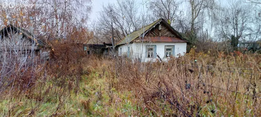 Дом в село Кулаево, Нагорная улица (23.2 м) - Фото 1