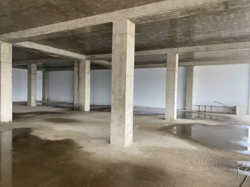 Помещение свободного назначения в Краснодарский край, Краснодар ... - Фото 1