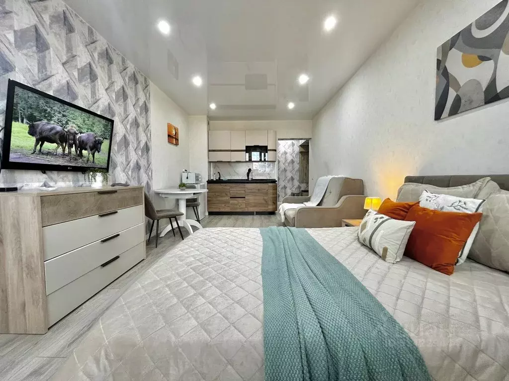 1-к кв. Бурятия, Улан-Удэ ул. Смолина, 67к2 (30.0 м) - Фото 1