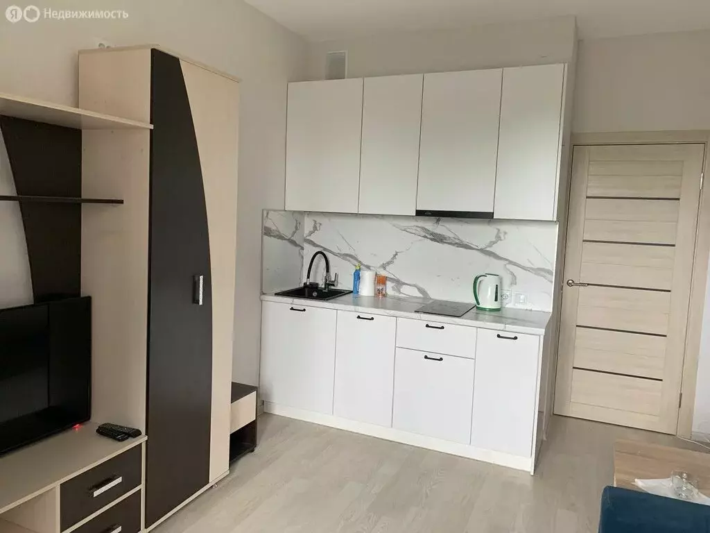 Квартира-студия: Аннинское городское поселение, деревня Куттузи, ... - Фото 1