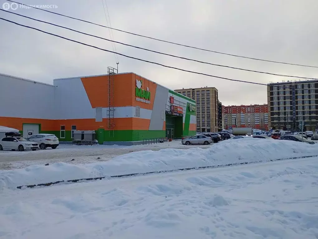 Помещение свободного назначения (170 м) - Фото 2