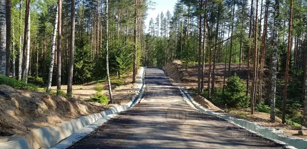 Участок в Ленинградская область, Всеволожский район, Куйвозовское ... - Фото 1