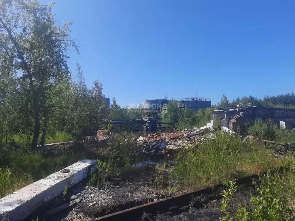 Производственное помещение в Архангельская область, Архангельск Первых . - Фото 1