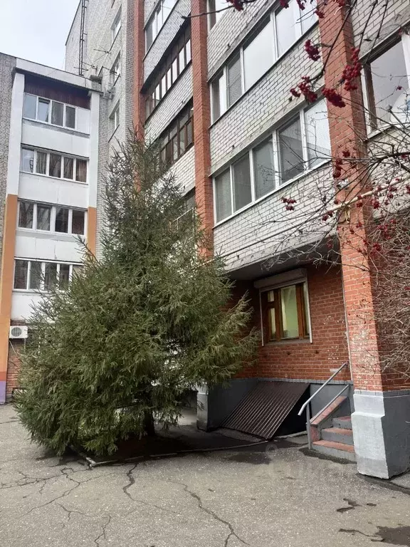 1-к кв. Пензенская область, Пенза ул. Суворова, 143А (52.0 м) - Фото 1