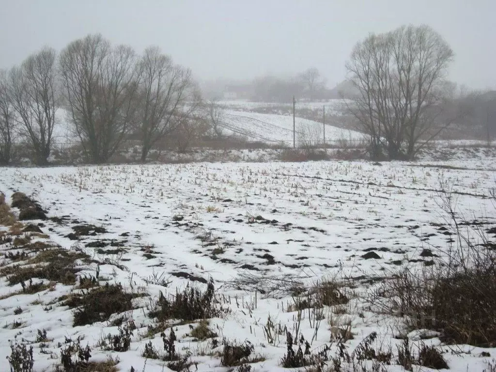 Участок в Воронежская область, Хохольский район, с. Староникольское  ... - Фото 1