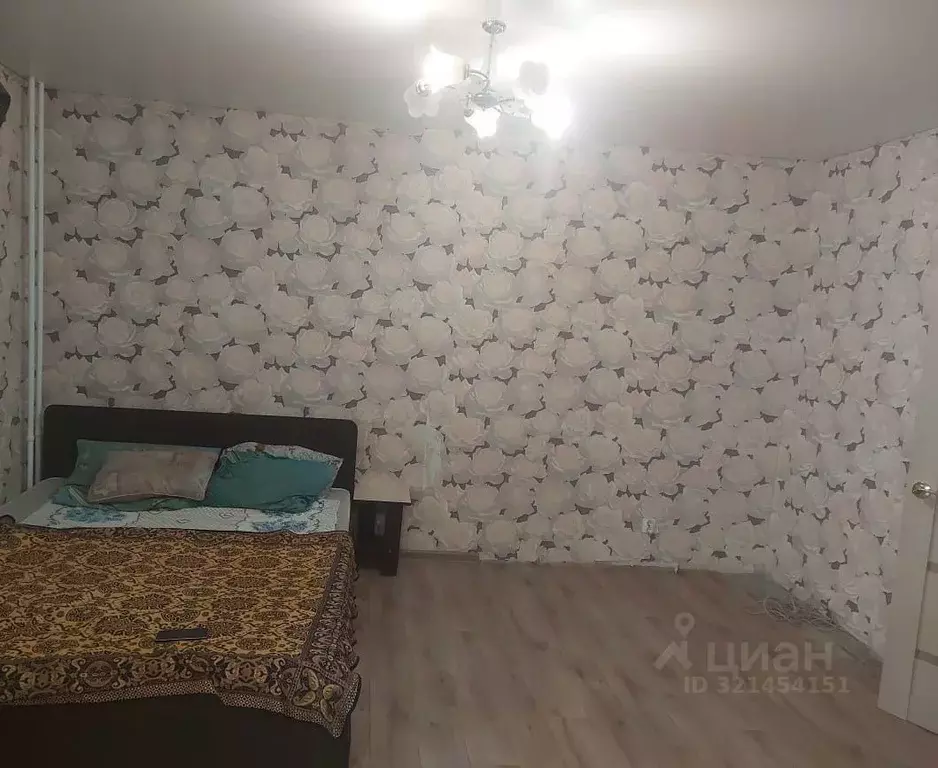 Студия Курганская область, Курган ул. Чкалова, 3 (31.0 м) - Фото 2