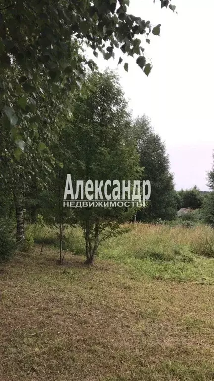Участок в Новгородская область, Валдайский муниципальный округ, ... - Фото 2