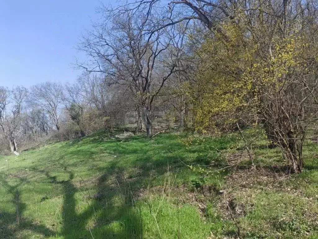 Участок в Краснодарский край, Новороссийск городской округ, ... - Фото 1