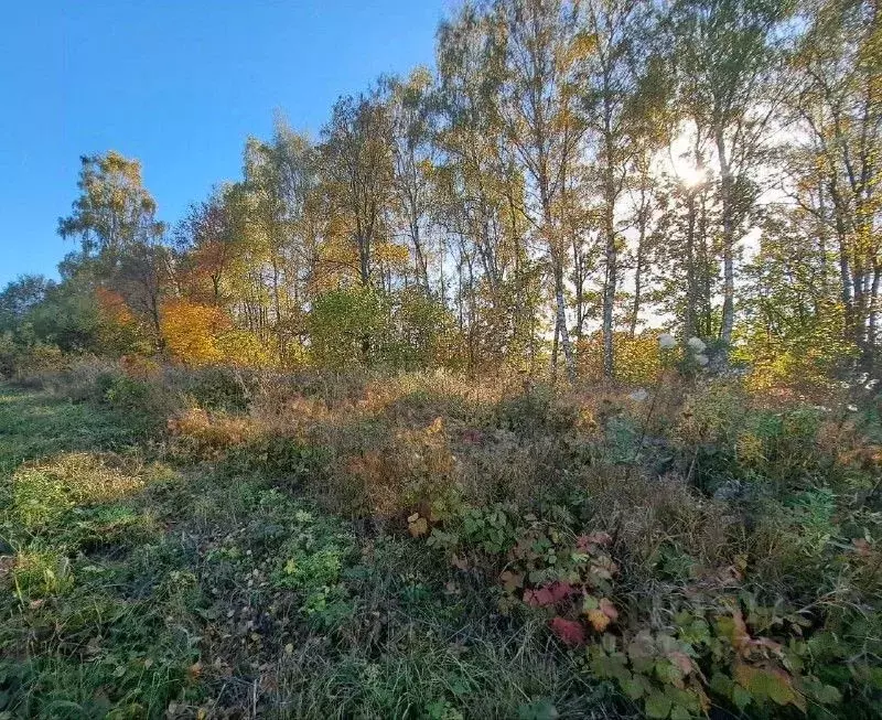 Участок в Московская область, Кашира городской округ, д. Завалье-1  ... - Фото 0