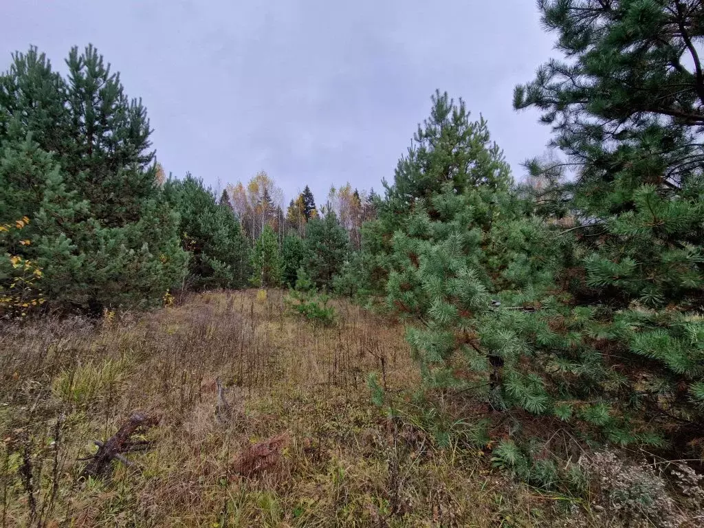 Участок в Владимирская область, Владимир д. Уварово, ул. Малая ... - Фото 1