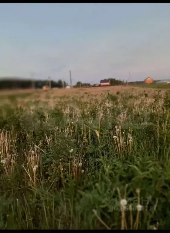 Участок в Владимирская область, Собинский район, Воршинское ... - Фото 1