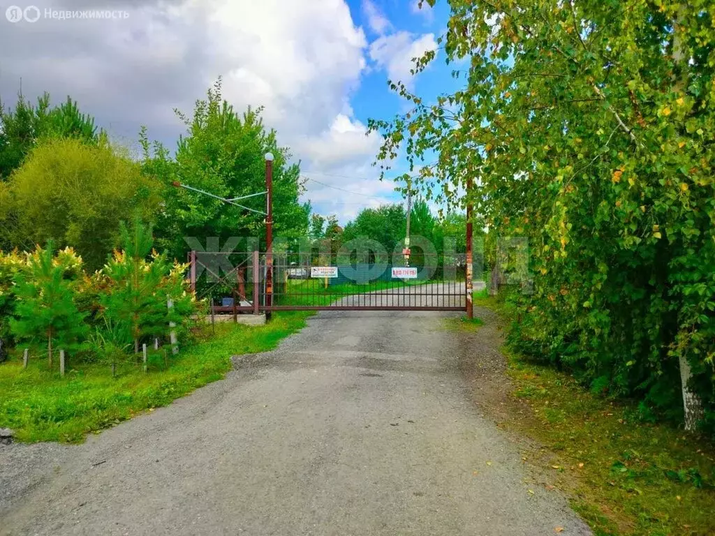 Дом в Толмачёвский сельсовет, садовое товарищество Полёт (24.4 м) - Фото 1