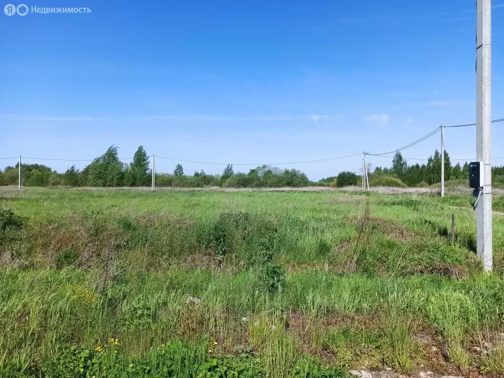 Участок в Кострома, коттеджный посёлок Первый, Павинский проезд (9.3 ... - Фото 0