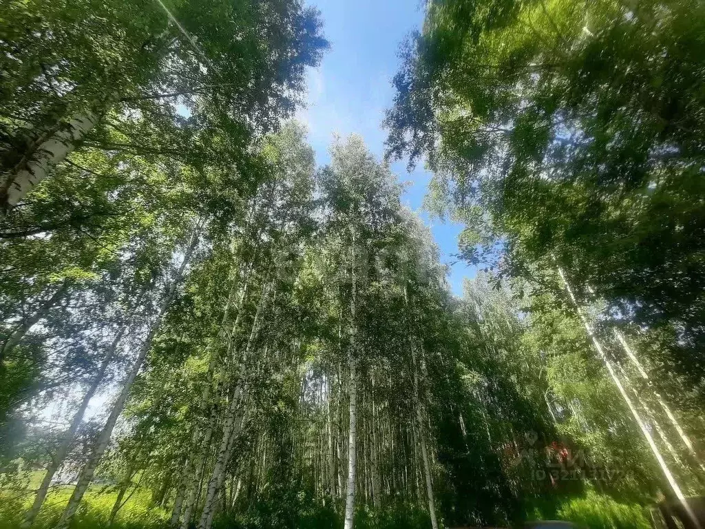 Участок в Нижегородская область, Чкаловск муниципальный округ, д. ... - Фото 1