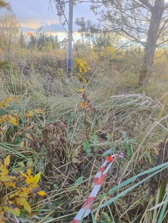 Участок, 12 сот., поселения (ижс) - Фото 1