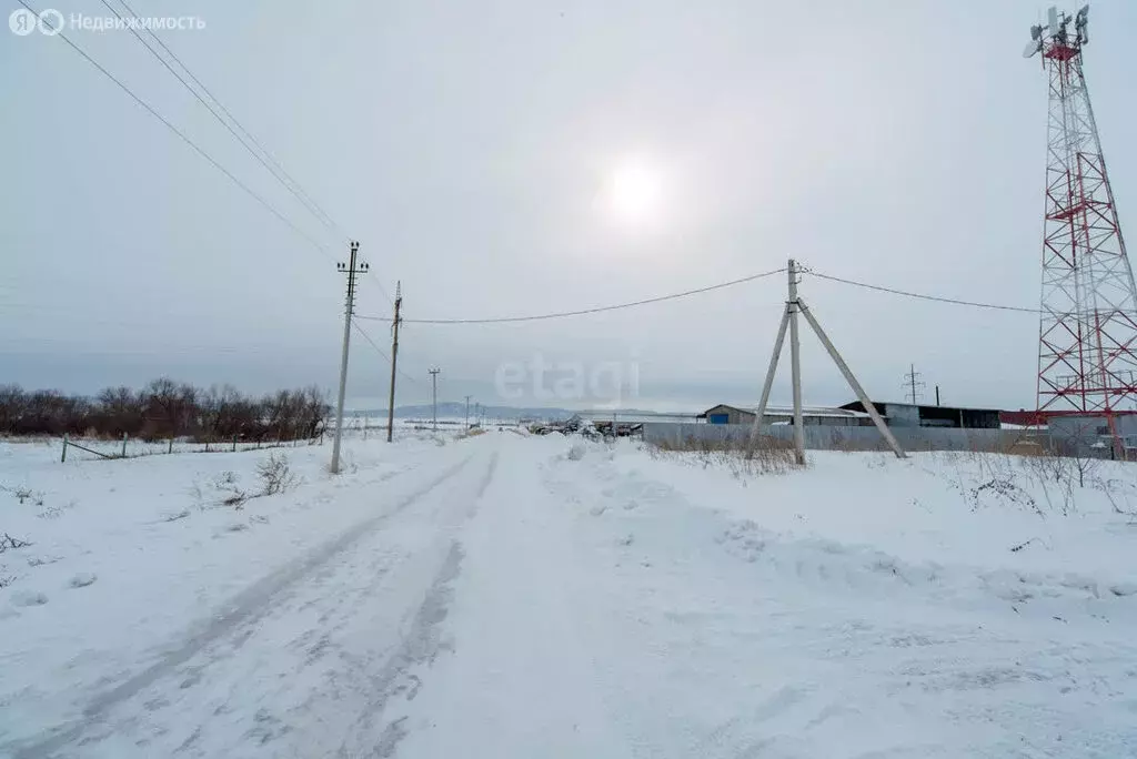 Участок в село Новотырышкино, Степная улица (25.73 м) - Фото 2
