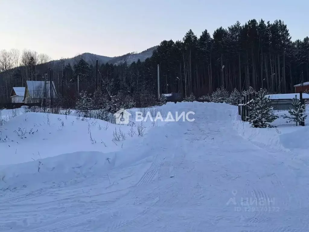 Участок в Бурятия, Баргузинский район, с. Максимиха  (7.95 сот.) - Фото 2