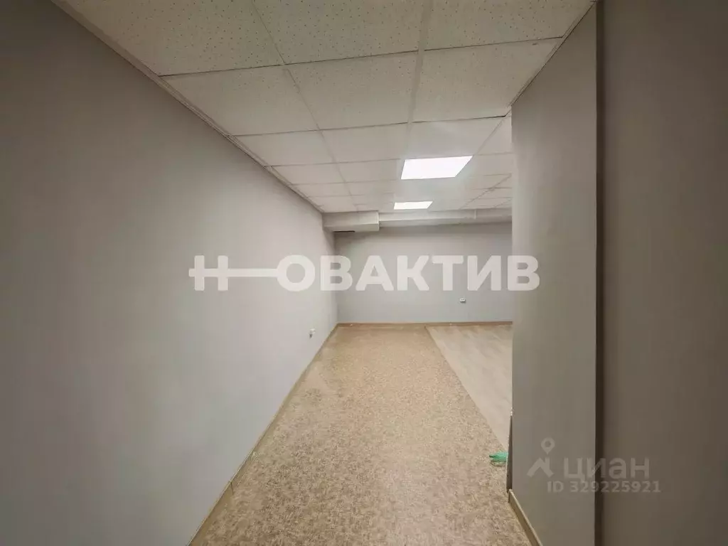 Помещение свободного назначения в Новосибирская область, Новосибирск ... - Фото 2