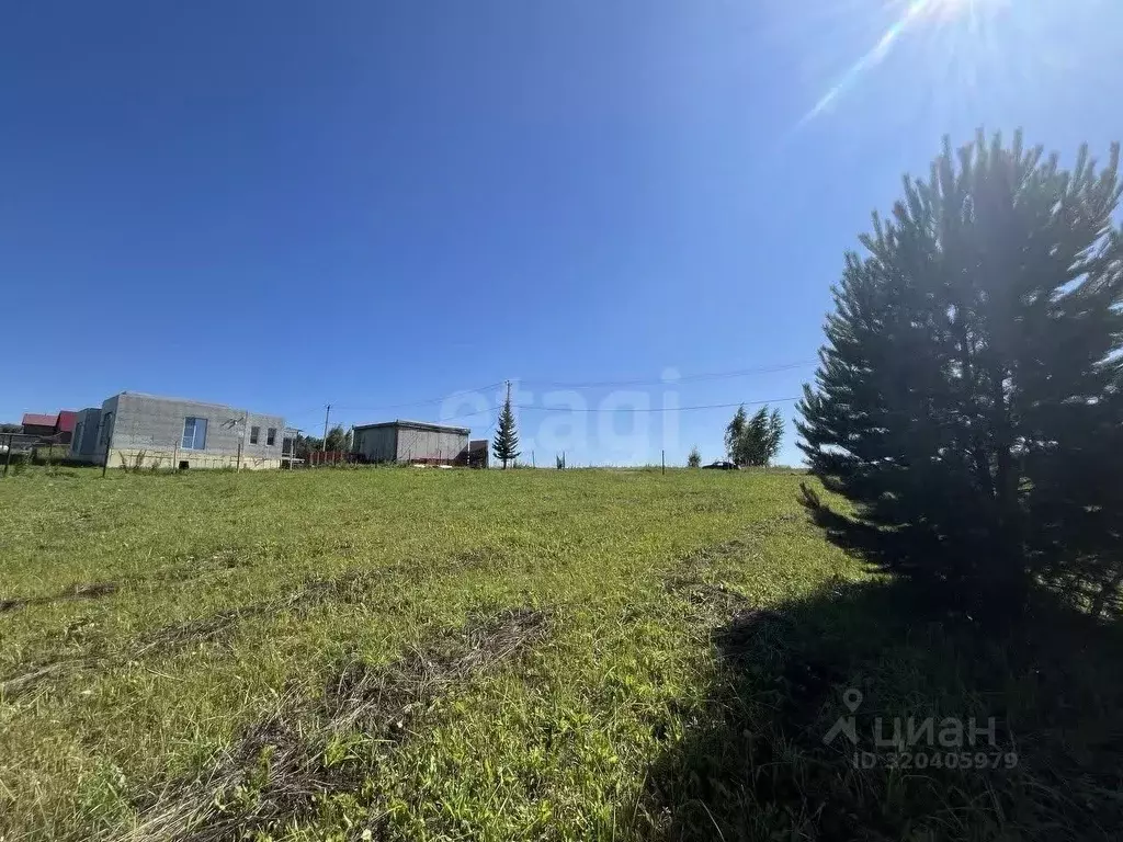 Участок в Кемеровская область, Кемеровский район, д. Солонечная  (15.0 ... - Фото 1