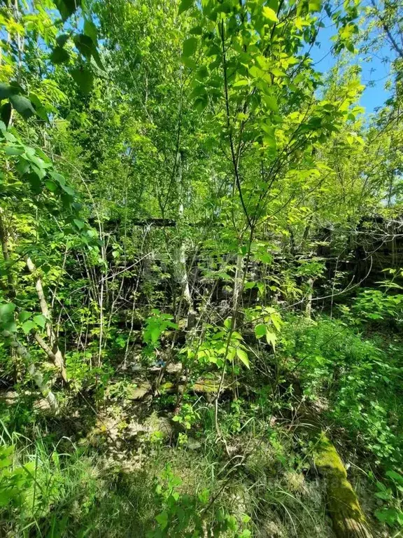 Участок в Алтайский край, Бийск Солнечная ул., 5 (6.0 сот.) - Фото 0