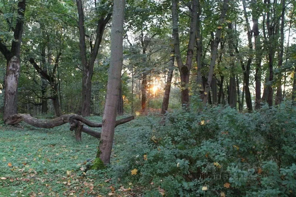 Участок в Ленинградская область, Ломоносовский район, Кипенское с/пос, ... - Фото 2